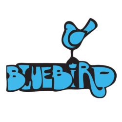 Bluebird Nightclub Bloomington