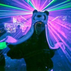 Paycheck's Lounge Hamtramck